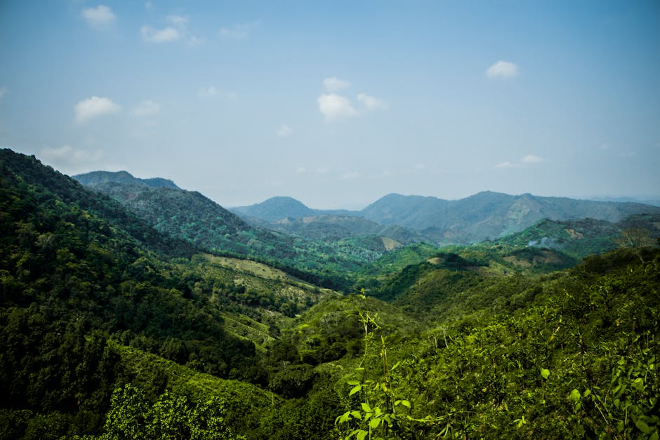Andean hills