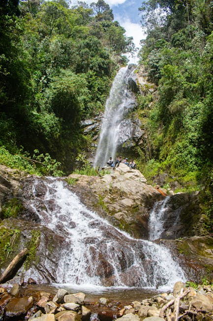 Waterfall in forest