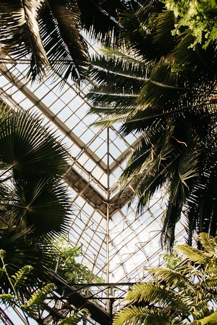 Greenhouse with palms