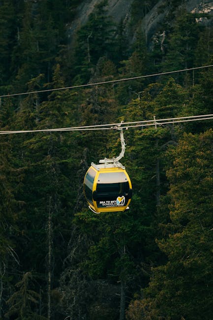 Metrocable over forest